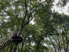 -WeLope紫金山探险公园