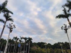 -番禺广场(市桥街道)