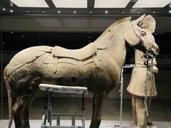 -秦始皇帝陵博物院(兵马俑)