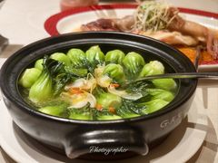 -圆苑(静安寺店)