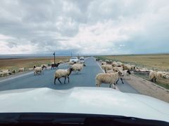 -青海湖国家重点风景名胜区