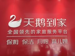 -天鹅到家·保姆月嫂育儿嫂(朝阳店)