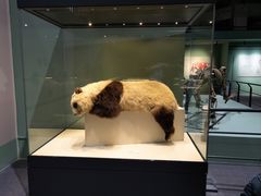 -国家自然博物馆