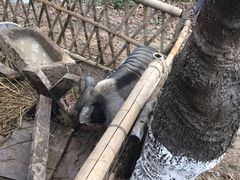 -长兴太湖图影湿地文化园