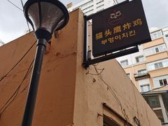 -猫头鹰炸鸡