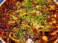 -新概念来凤鱼(璧山店)
