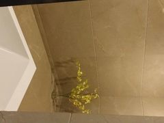android_upload_pic-无锡华怡明都大酒店