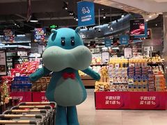 -盒马鲜生(金桥国际广场店)