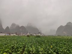 -钟山水墨田园