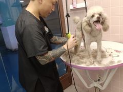 -FAELING PETS美天灵宠物(富力广场店)