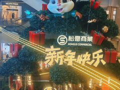 -松雷商业(南岗店)