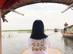 -白洋淀景区