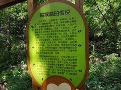 -大岭沟猕猴桃谷风景区