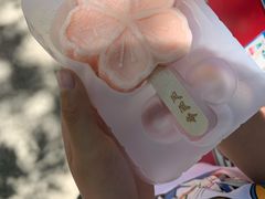 -北京凤凰岭