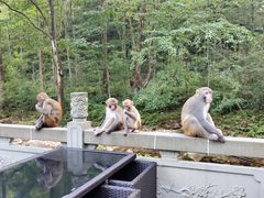 -麦当劳(西站店)