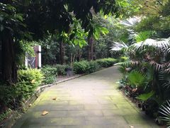 -铁山坪森林公园