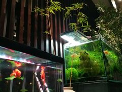 -大书房咖啡(中传国交店)
