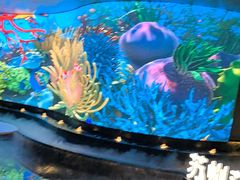 -唐宫足道·SPA·住宿24H会所(木渎店)