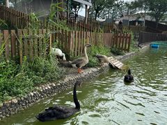 -太阳岛度假酒店