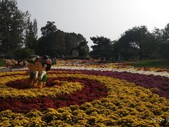 -北京植物园-展览温室
