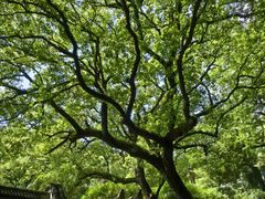 -宁波市保国寺古建筑博物馆