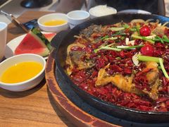 -老板恋上鱼(恒隆广场店)