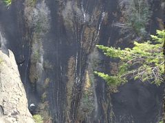 -峡谷浮石林景区