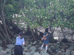 -宝安西湾红树林湿地公园