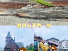 -富龙滑雪场