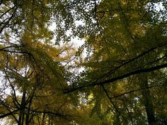 -四川大学(华西校区)