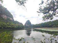 -鼎湖山风景区