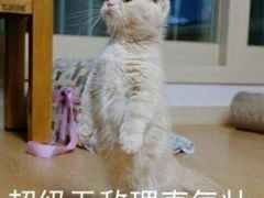 -沈记烧烤海鲜(江汉二路店)