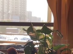 -Bco豆库(星耀天地店)