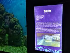 -福州罗源湾海洋世界旅游区