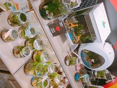 -酷乐潮玩(金桥国际店)