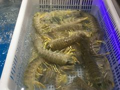 -盒马鲜生(悦峰店)