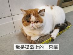 -喜茶(上海五角场万达店)
