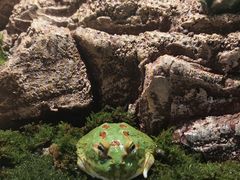 -太平洋海底世界