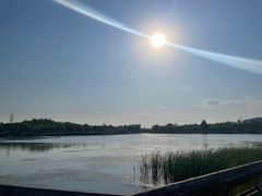 -马家湾湿地公园