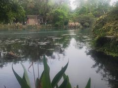 -花溪公园