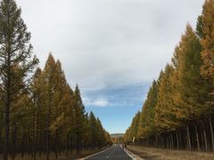 -塞罕坝国家级自然保护区