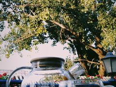 -Sirena海妖日咖夜酒