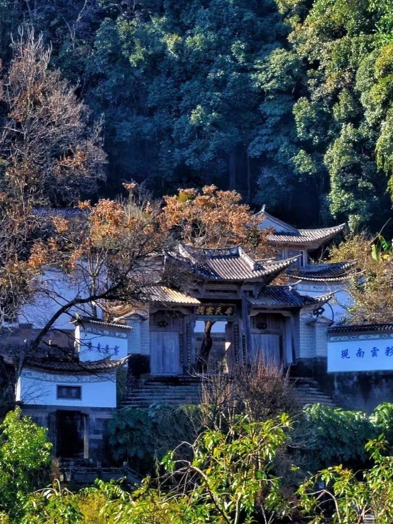 青华海湿地公园「青华海西湖景区」
位