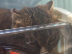 -德元·美联众合24小时动物医院(总院)