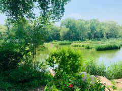 -长春市南湖公园