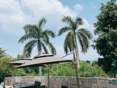 -凤阁楼果木烧鹅(鹤山陈山店)
