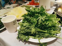 茼蒿-蜀九香火锅(九眼桥店)