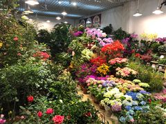 -双季花艺园艺市场(浦东店)