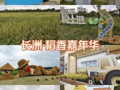 -长洲岛