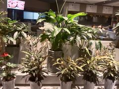 -马仕玖煲(万宴城店)